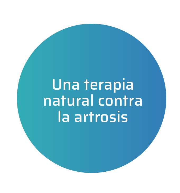 circulo-bloque-1